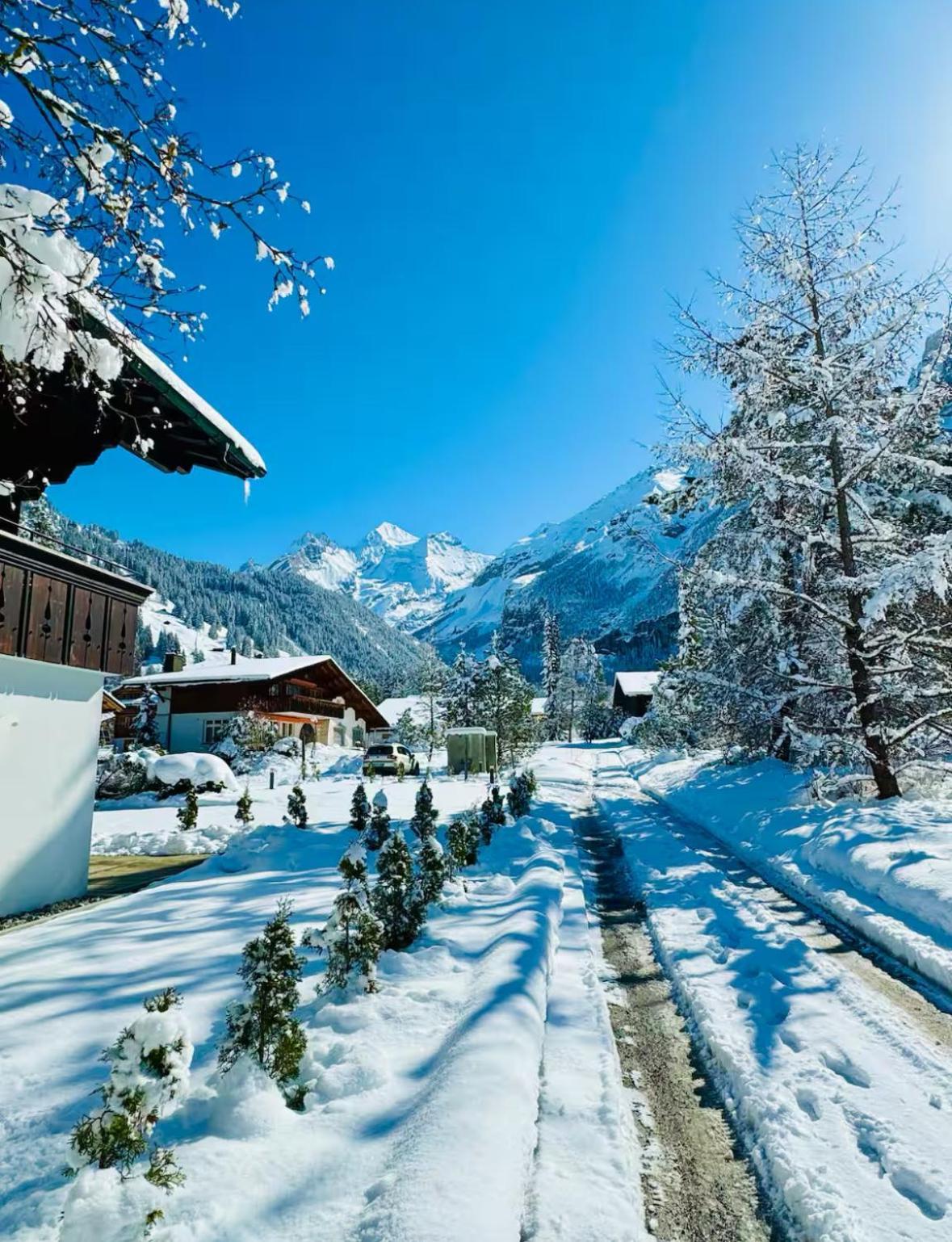 Apartamento Cute & Cozy Oasis, Private Afternoon Sun Terrace Kandersteg Exterior foto